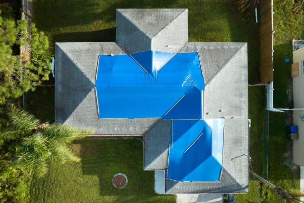 Best Sheet Metal Roofing  in Glendale Heights, IL