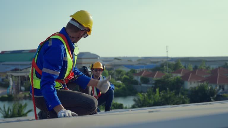 Best Roof Maintenance and Cleaning  in Glendale Heights, IL