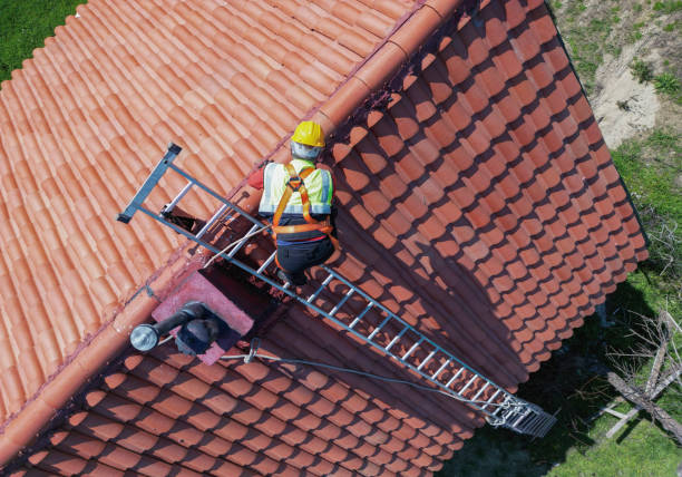 Best Roof Moss and Algae Removal  in Glendale Heights, IL